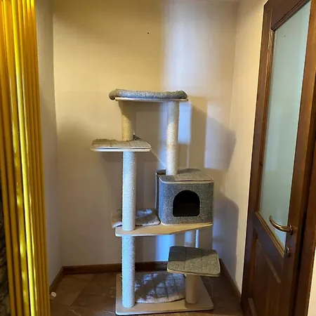Confortevole A Apartment